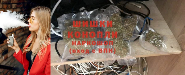 твердый Богородицк